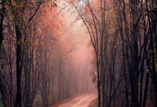 [国足]备战“熊猫杯”最终战 唯有三分是答案.