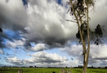 kaiyun体育：33岁J罗无缘世俱杯！莱昂被FIFA排除出世俱杯，切尔西所在组剩3队.