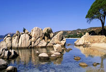 [亚冠]客场输球 上海申花无缘亚冠八强.